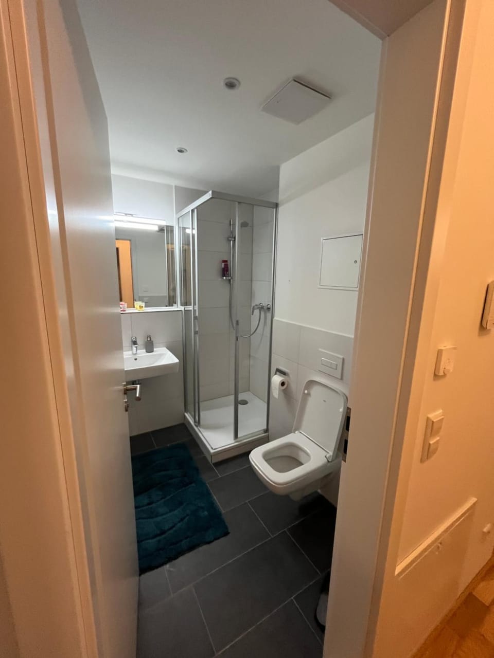 Shower, Toilet
