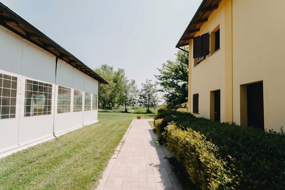 Property building, Spring, Day, Natural landscape, Garden, Garden view
