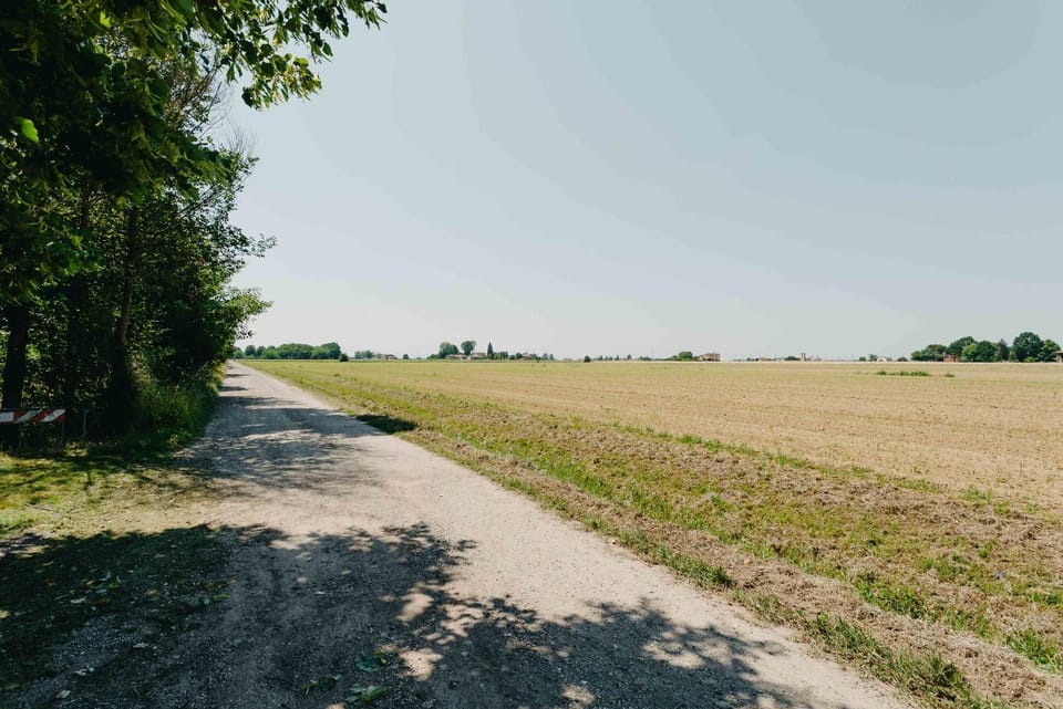 Spring, Day, Neighbourhood, Natural landscape