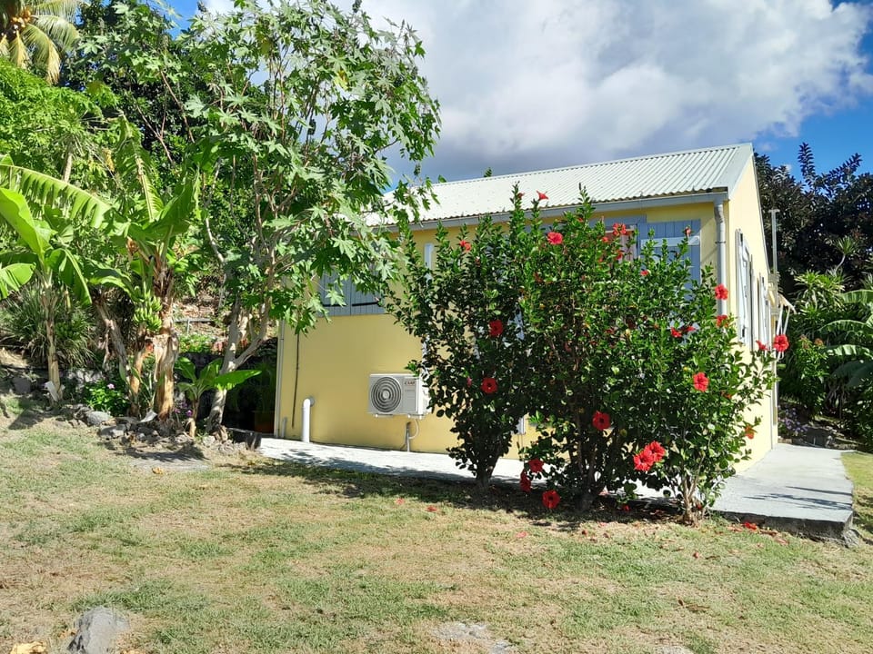 Property building, Day, Garden, Garden view