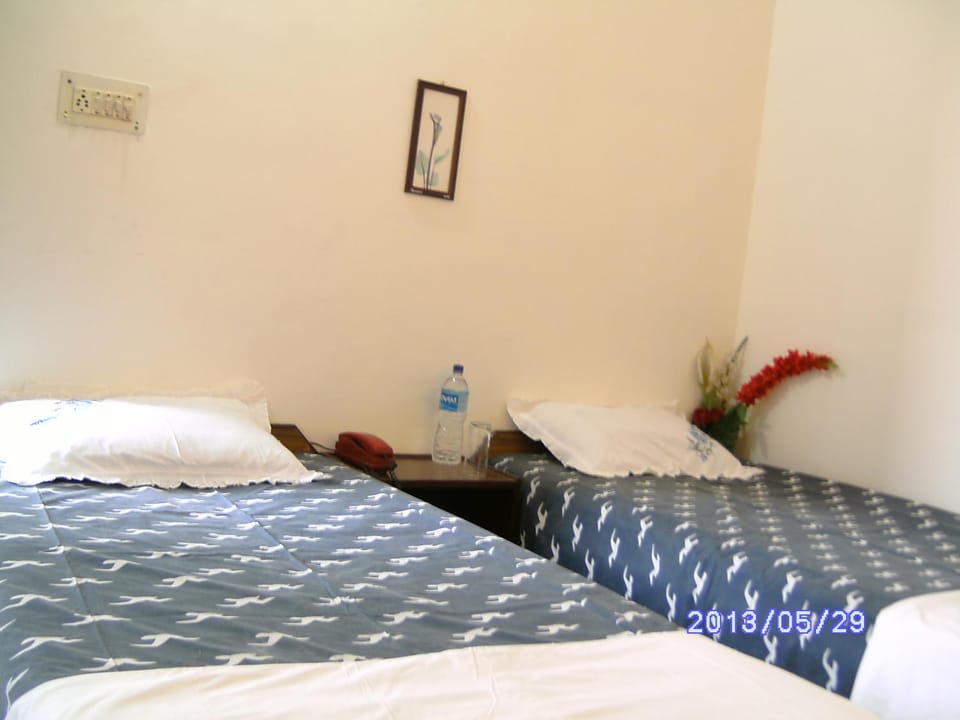 Agra Paying Guest House & Home Stay Bed and Breakfast in Agra