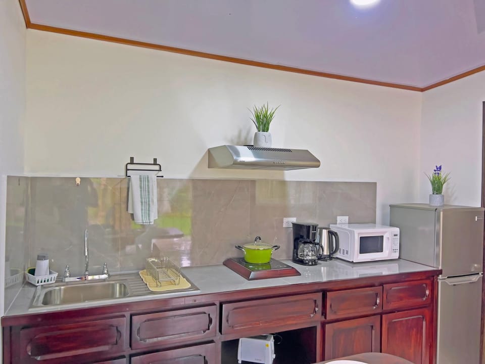 Coffee/tea facilities, Kitchen or kitchenette, minibar, toaster