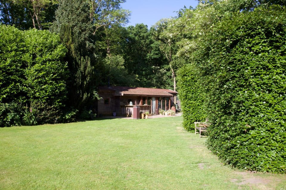 Property building, Garden, Garden view
