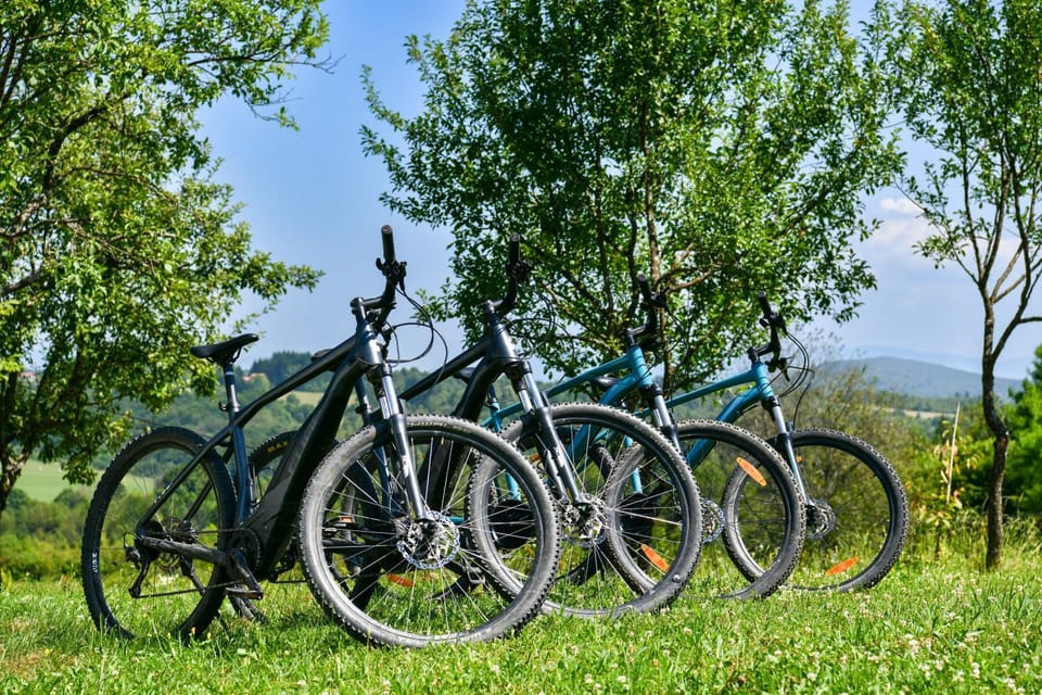 Spring, Day, Natural landscape, Activities, Summer, Cycling, Autumn