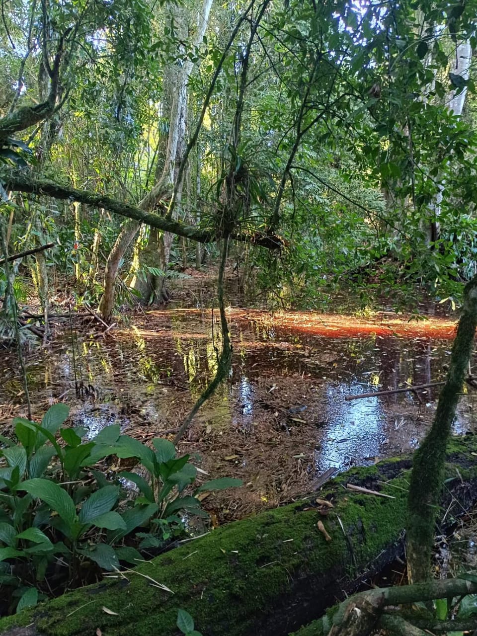 CascataDiamantePousada Nature lodge in State of Santa Catarina