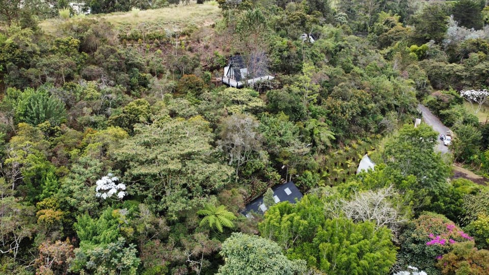Natural landscape, Bird's eye view