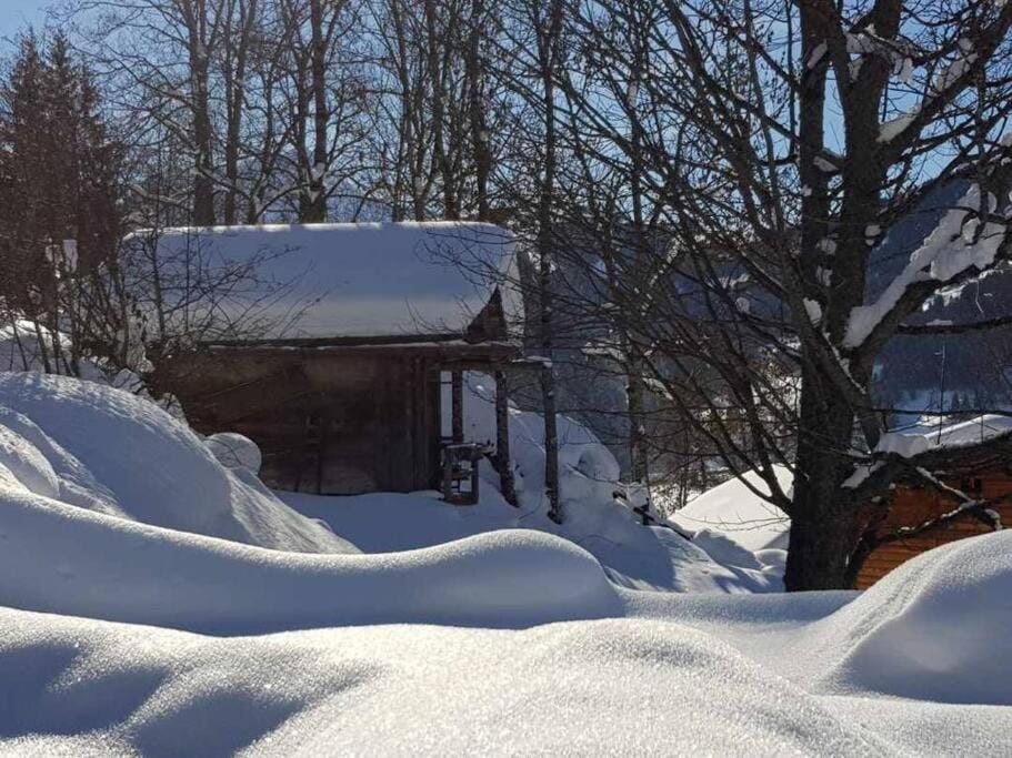 Natural landscape, Winter