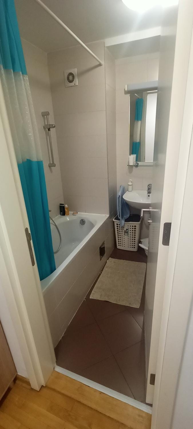 Maslačak 2 Apartment in Belgrade