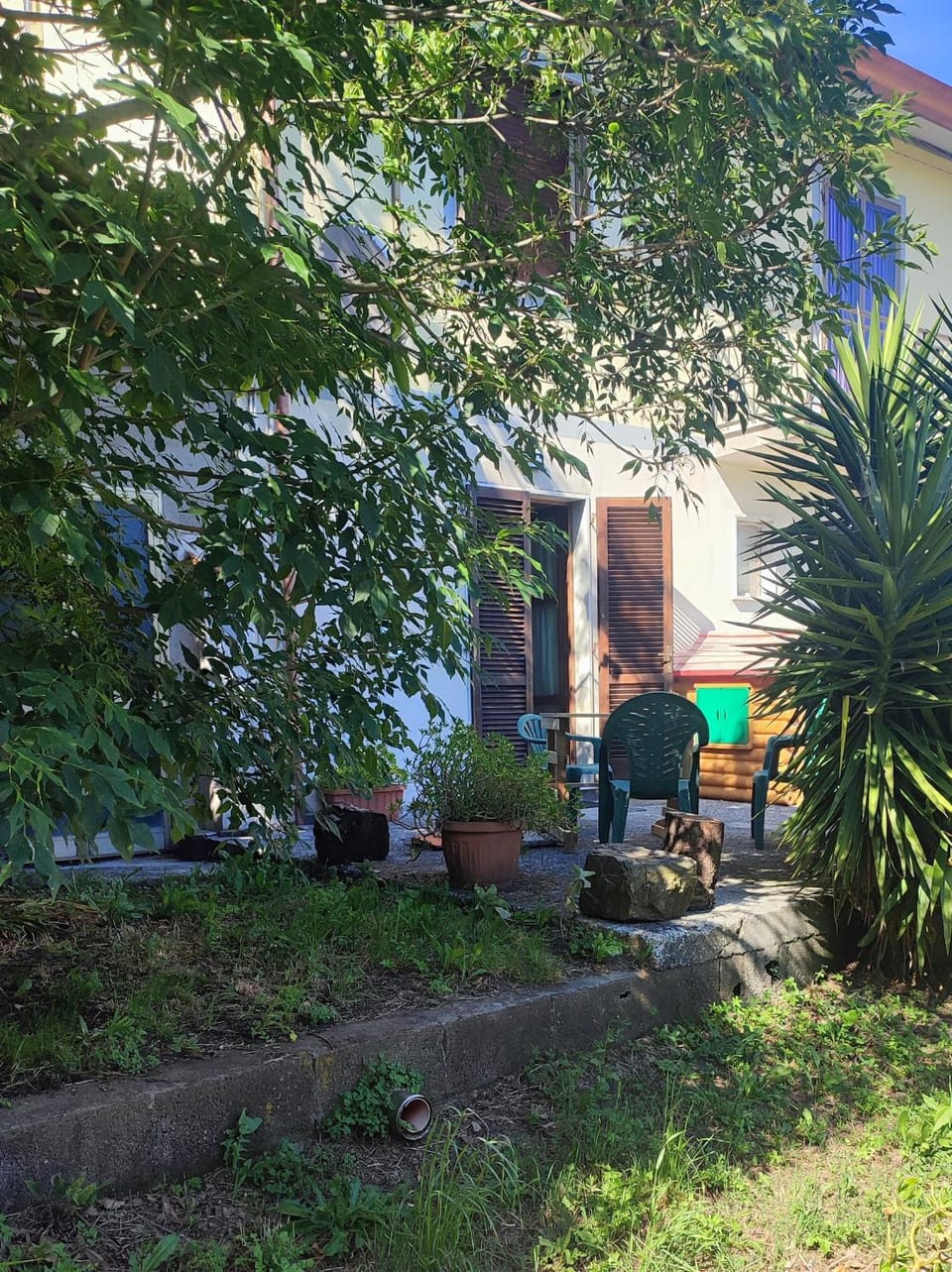 Garden view