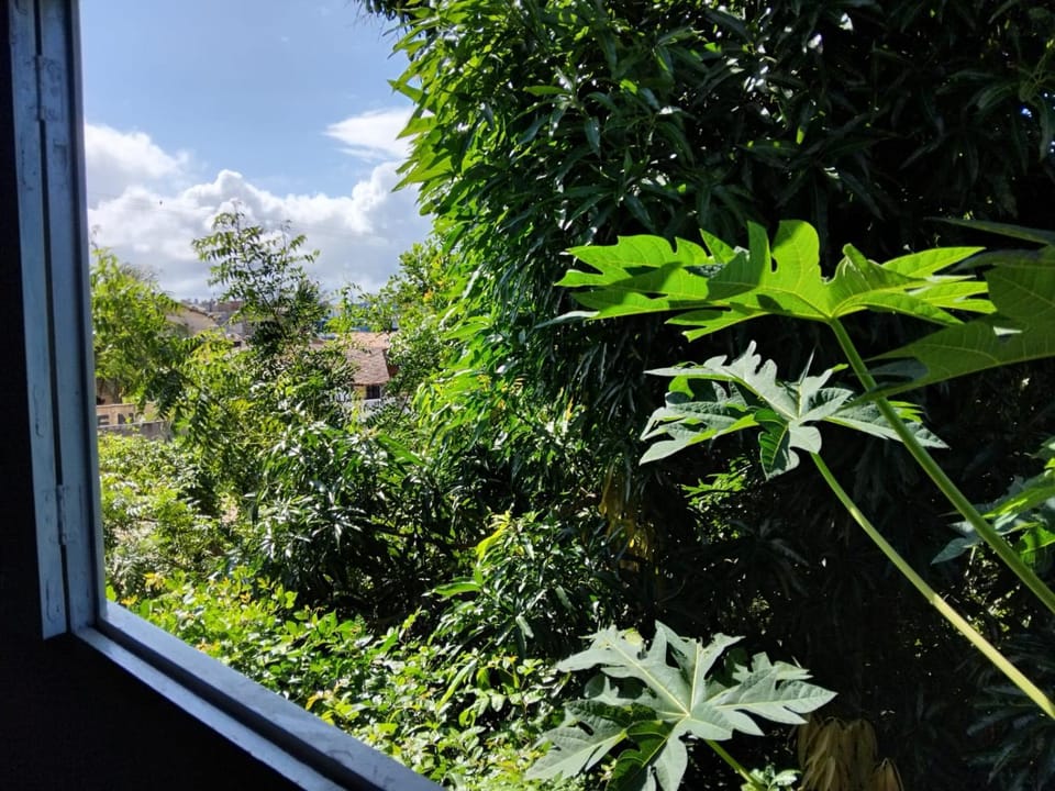 suíte carapibus Bed and Breakfast in State of Paraíba, Brazil