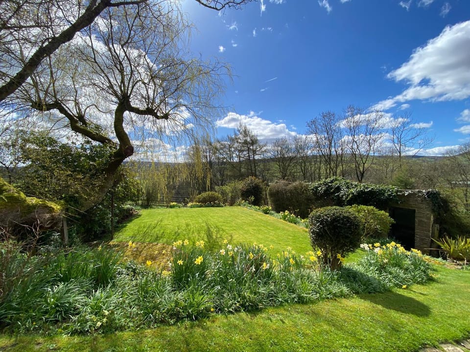 Natural landscape, Garden, Garden view