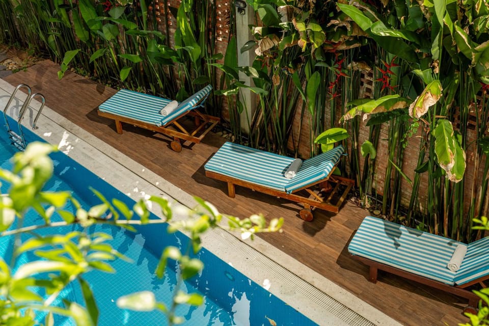 Day, Garden, Garden view, Pool view, Swimming pool, Swimming pool, sunbed