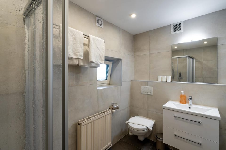 Shower, Toilet, Bathroom, towels