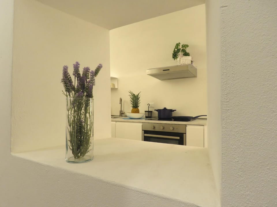 Kitchen or kitchenette, pet friendly, stove