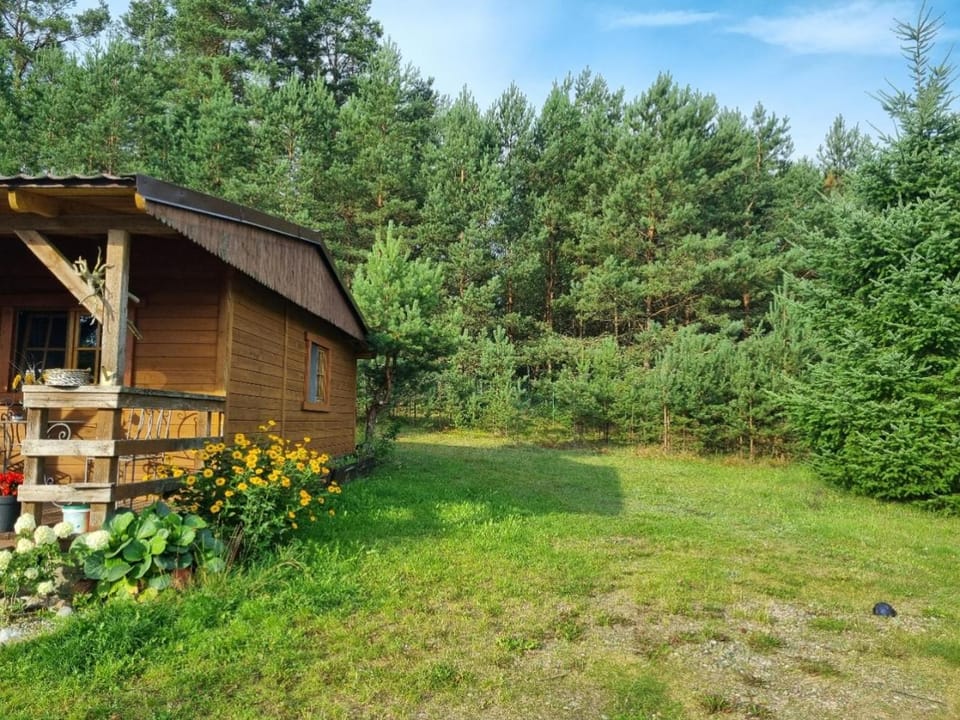 Property building, Garden view