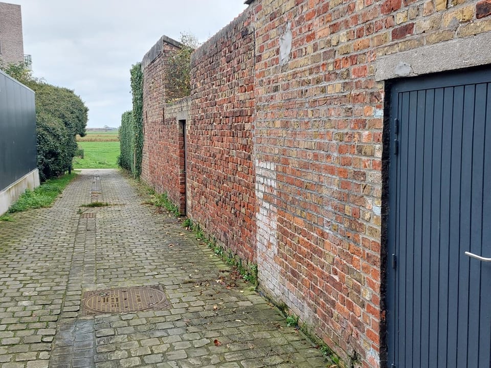 View (from property/room)