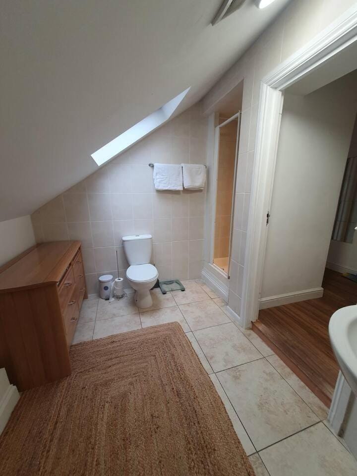 Potions Loft Apartment in Watford