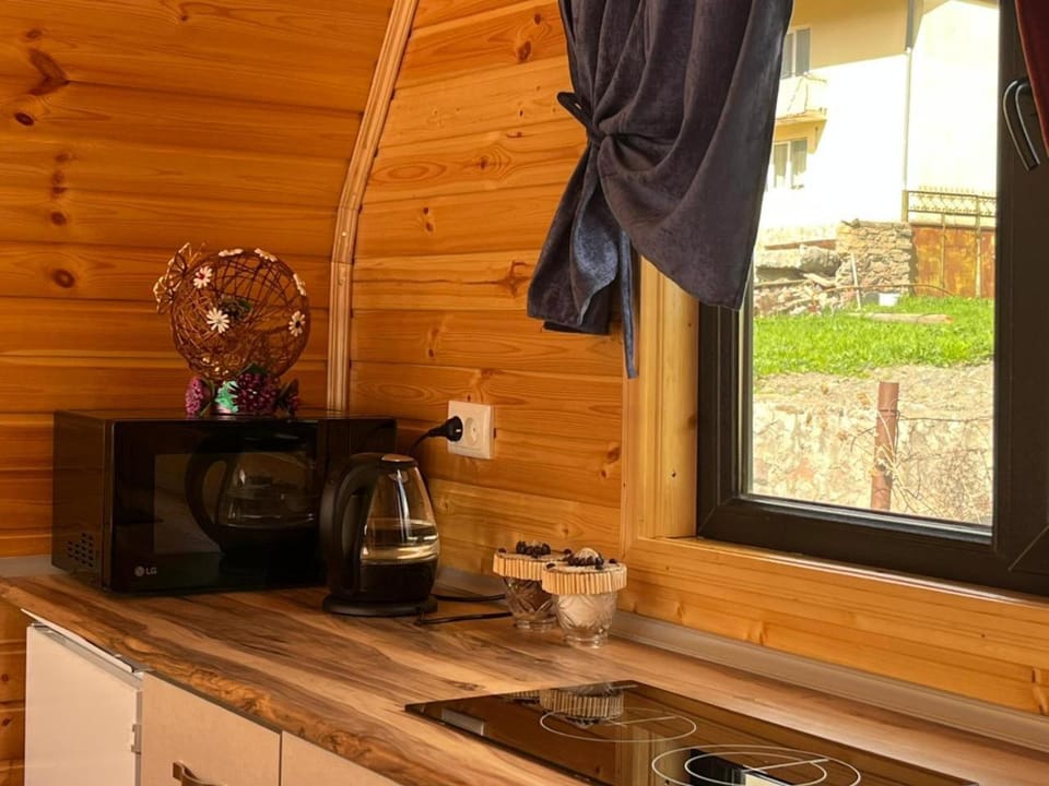 View (from property/room), Kitchen or kitchenette, Landmark view, Mountain view