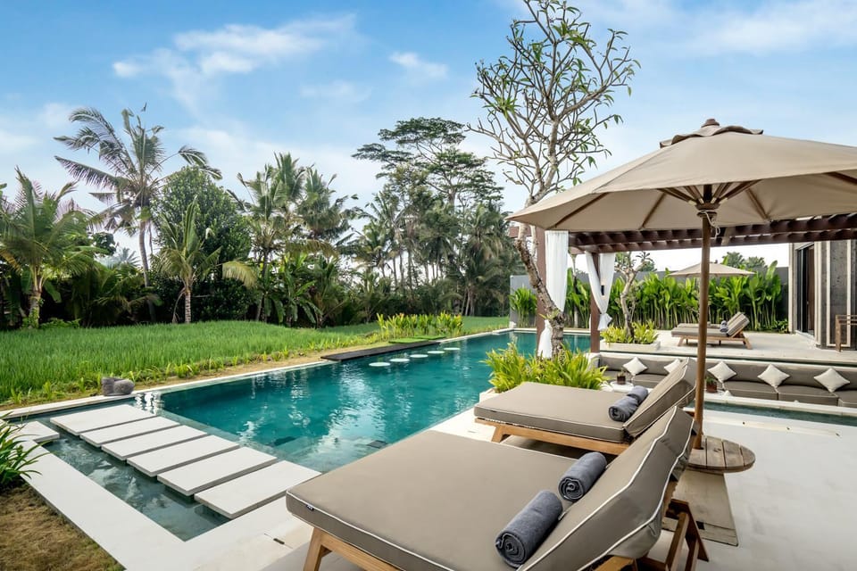 Natural landscape, Garden, Garden view, Pool view, Swimming pool, sunbed
