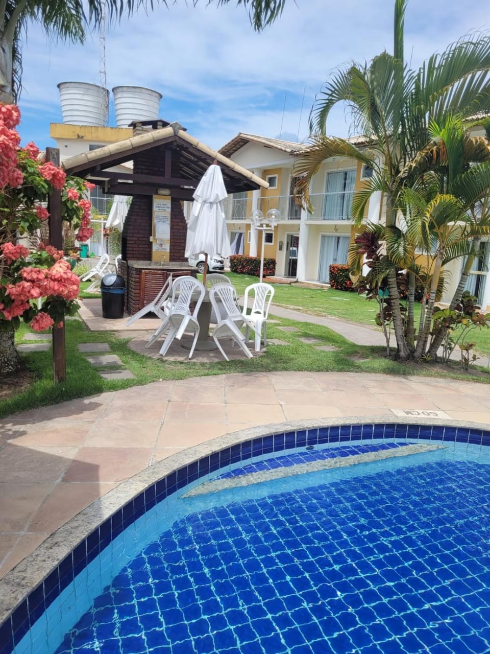 Garden, Pool view, Swimming pool, sunbed