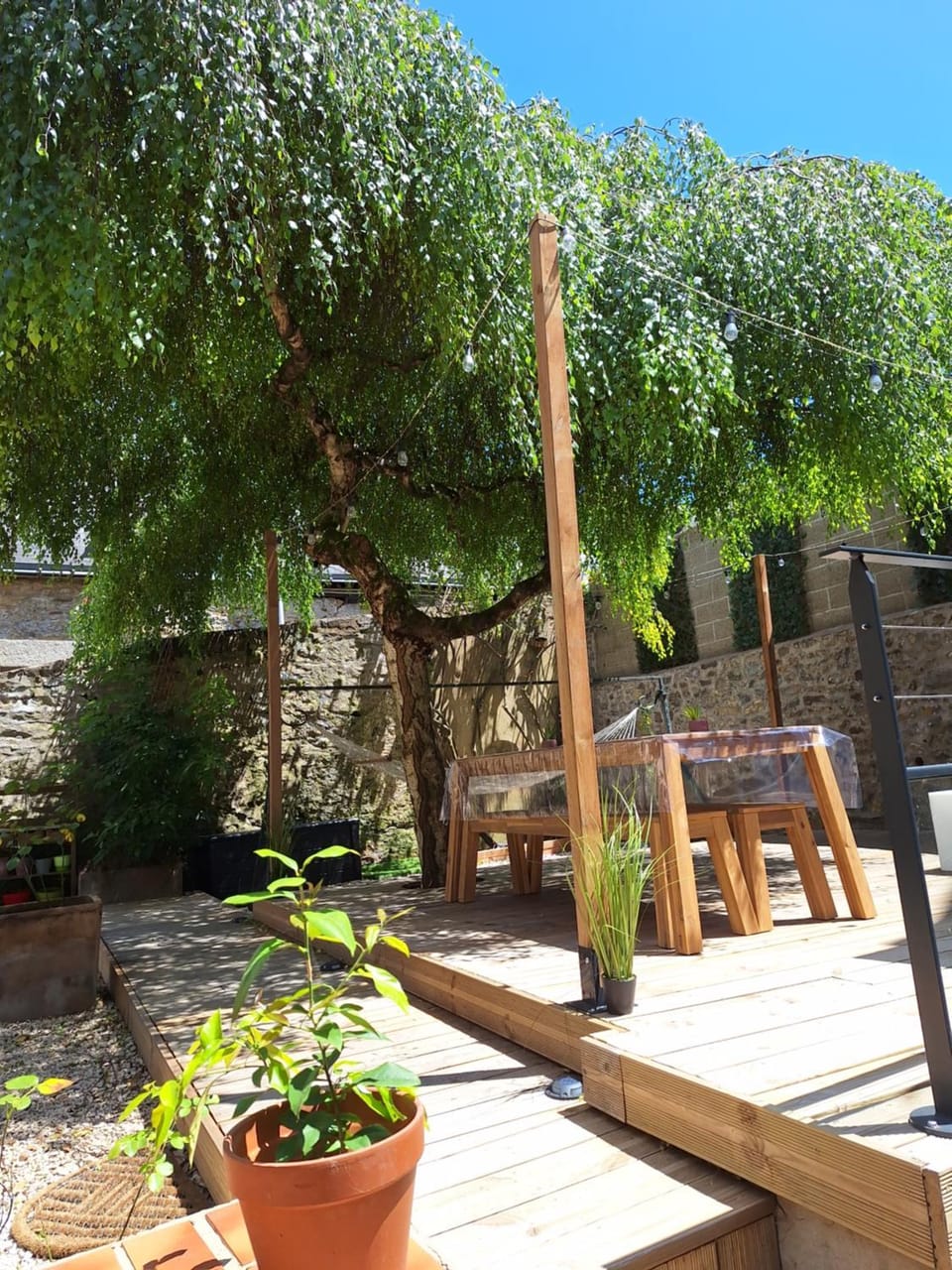 Garden view