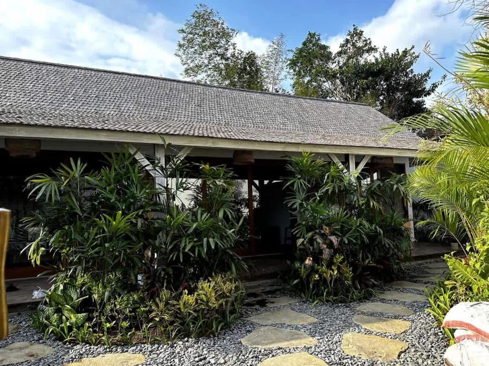 Property building, Spring, Day, Garden, Garden view
