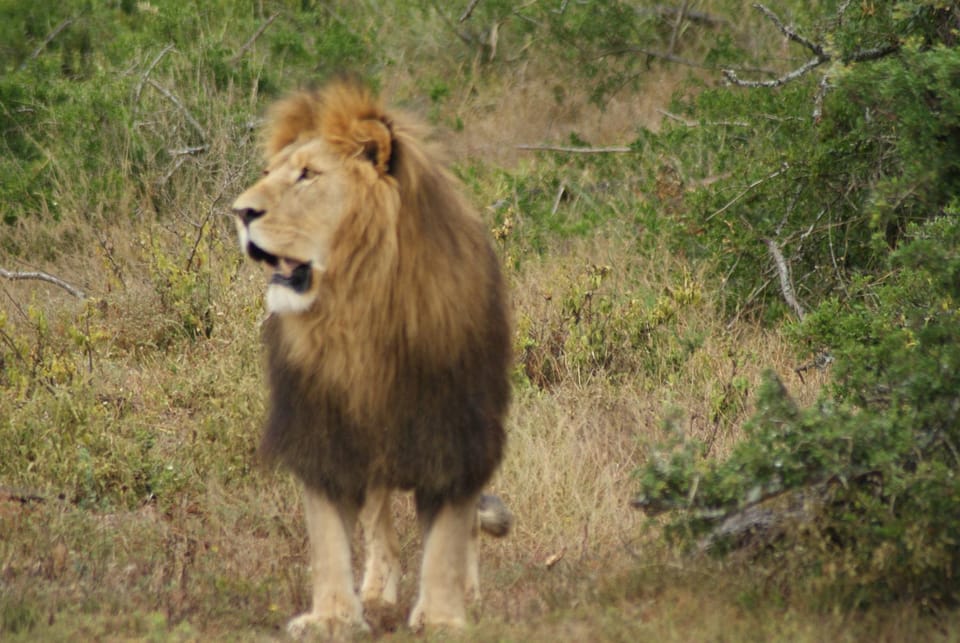 Beyond Cui Bono - Travel Addo Group Bed and Breakfast in Eastern Cape