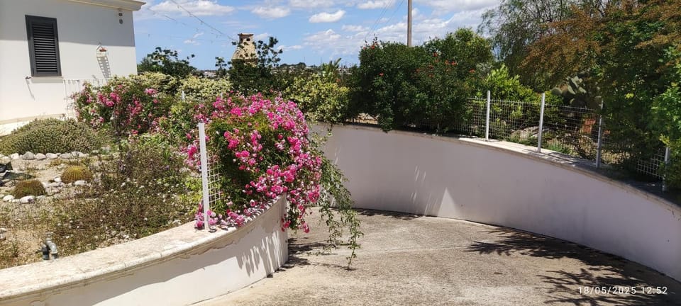 DIMORA SULLA COLLINA Apartment in Apulia