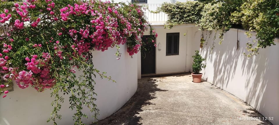 DIMORA SULLA COLLINA Apartment in Apulia