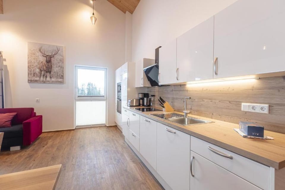 Appartementhaus zum Moserlhof Apartment in Schladming