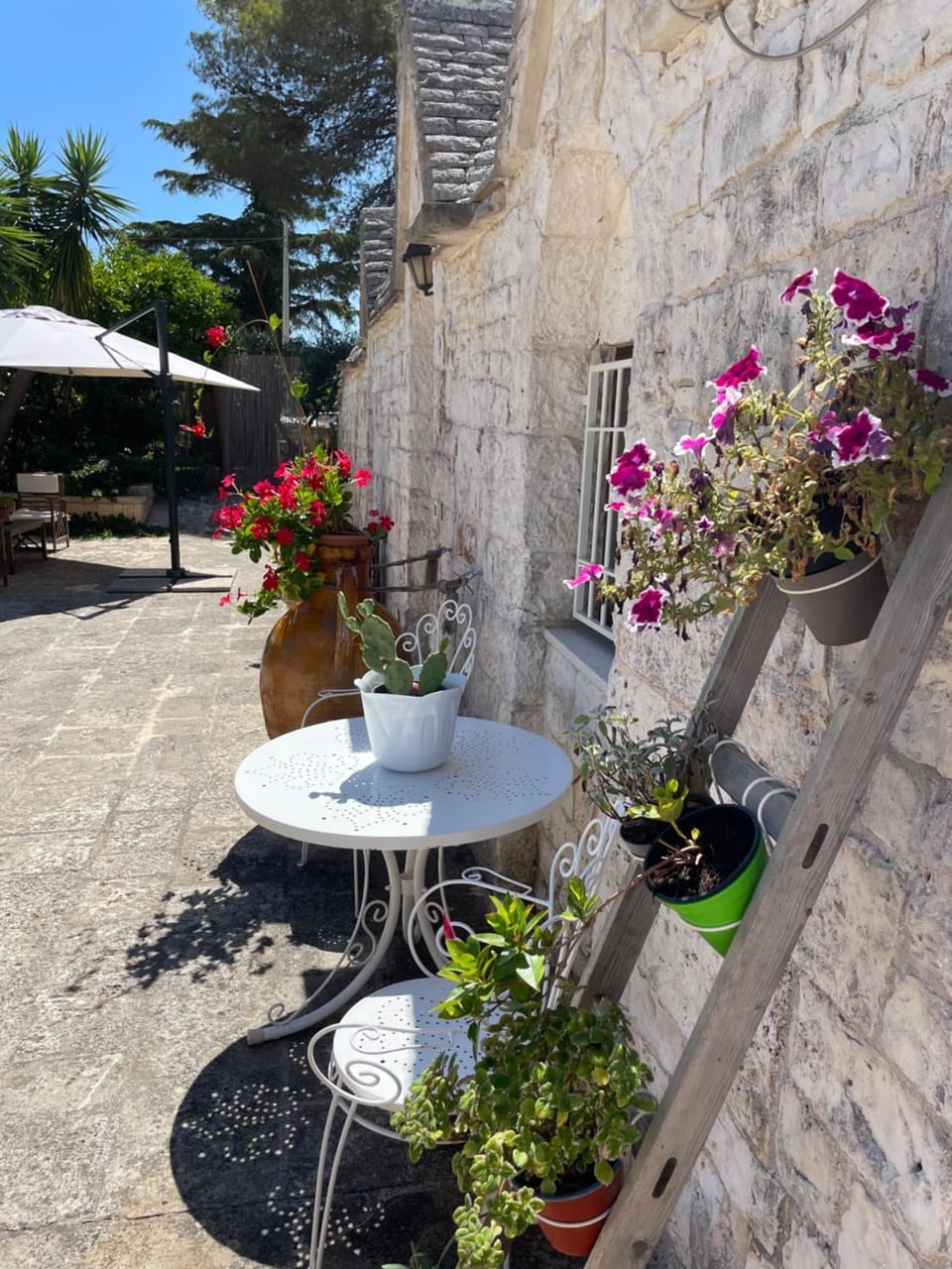Day, Garden view