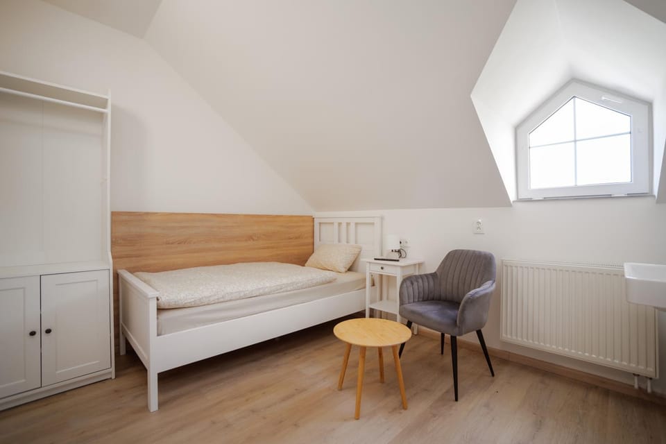 PENZION ZA VODOU Bed and Breakfast in Czechia