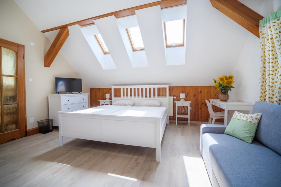 PENZION ZA VODOU Bed and Breakfast in Czechia