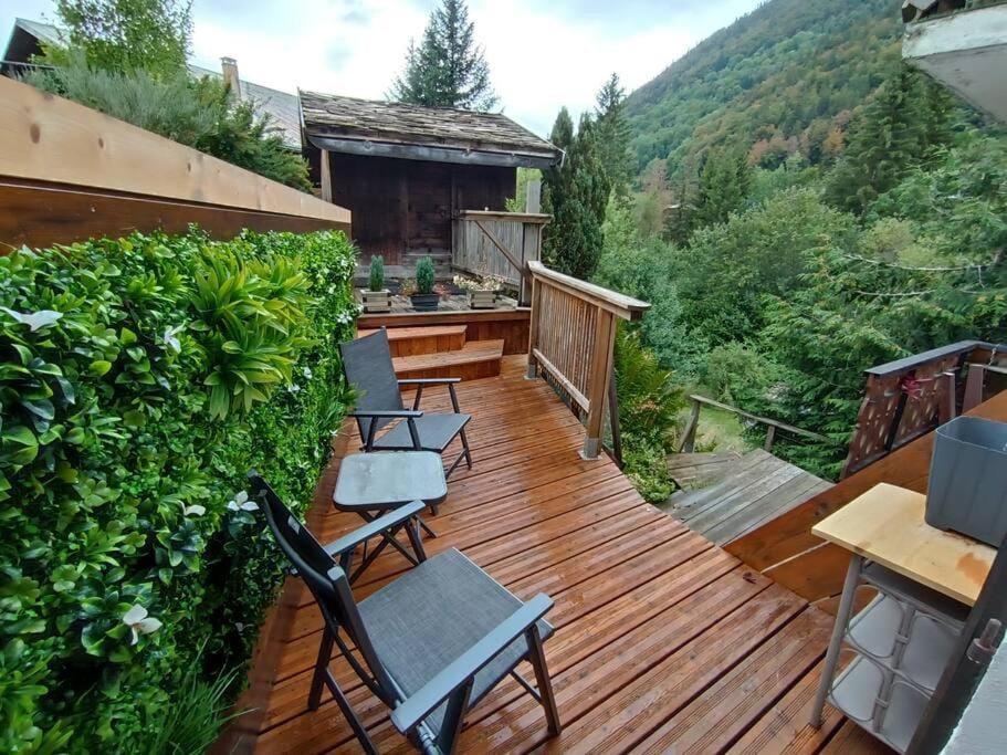 Petite appart charmante! Apartment in Montriond