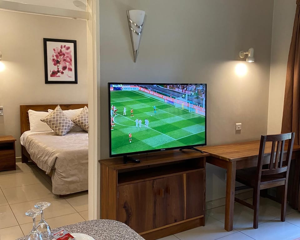 TV and multimedia