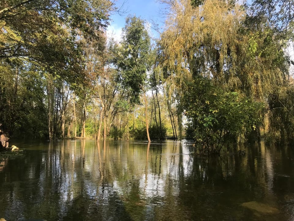 Spring, Natural landscape, River view