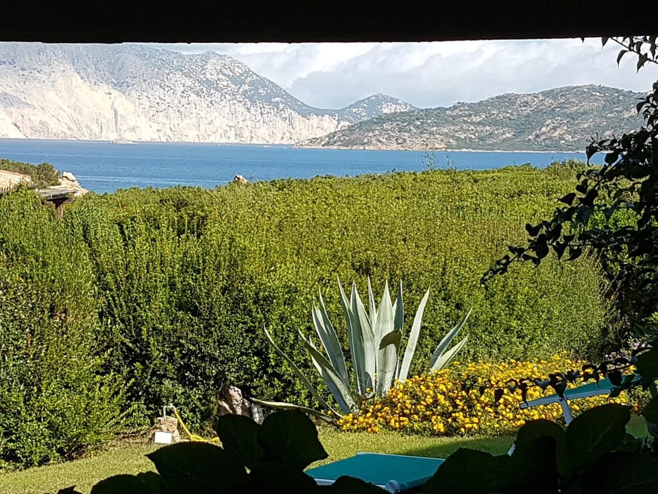 Sea view