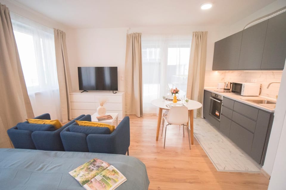 Bed, TV and multimedia, Kitchen or kitchenette, Living room, Seating area, Dining area