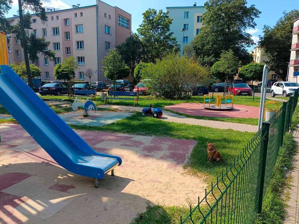 Natural landscape, Children play ground