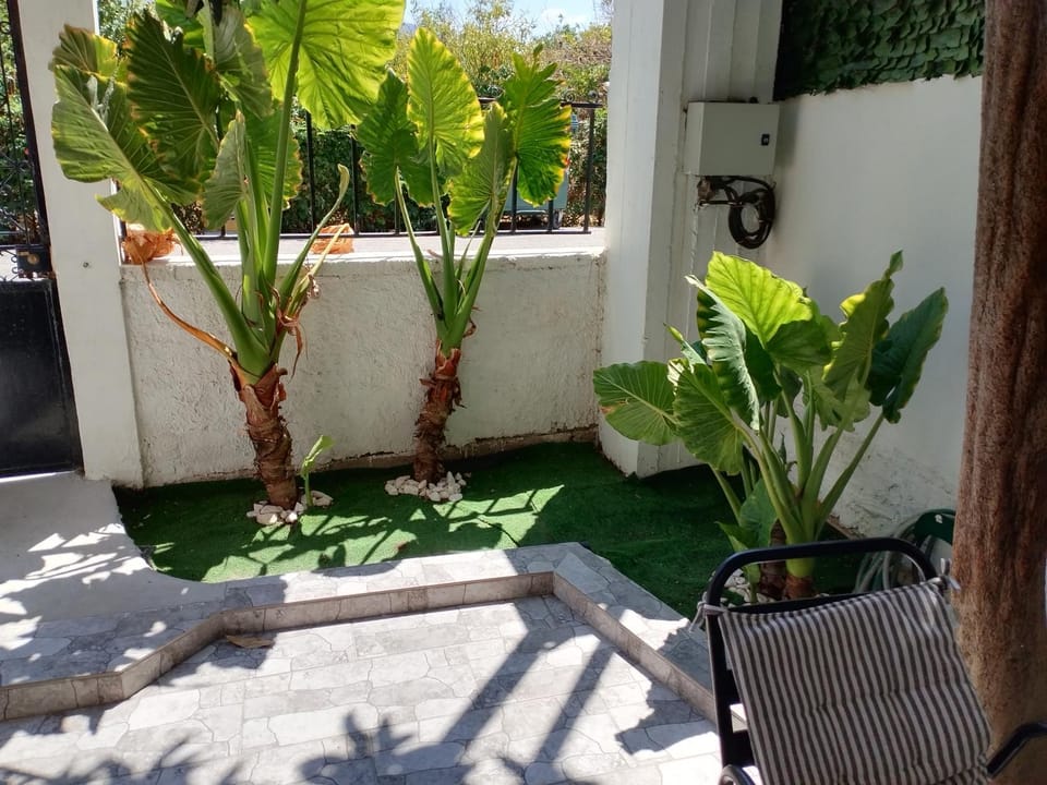 Patio, Garden