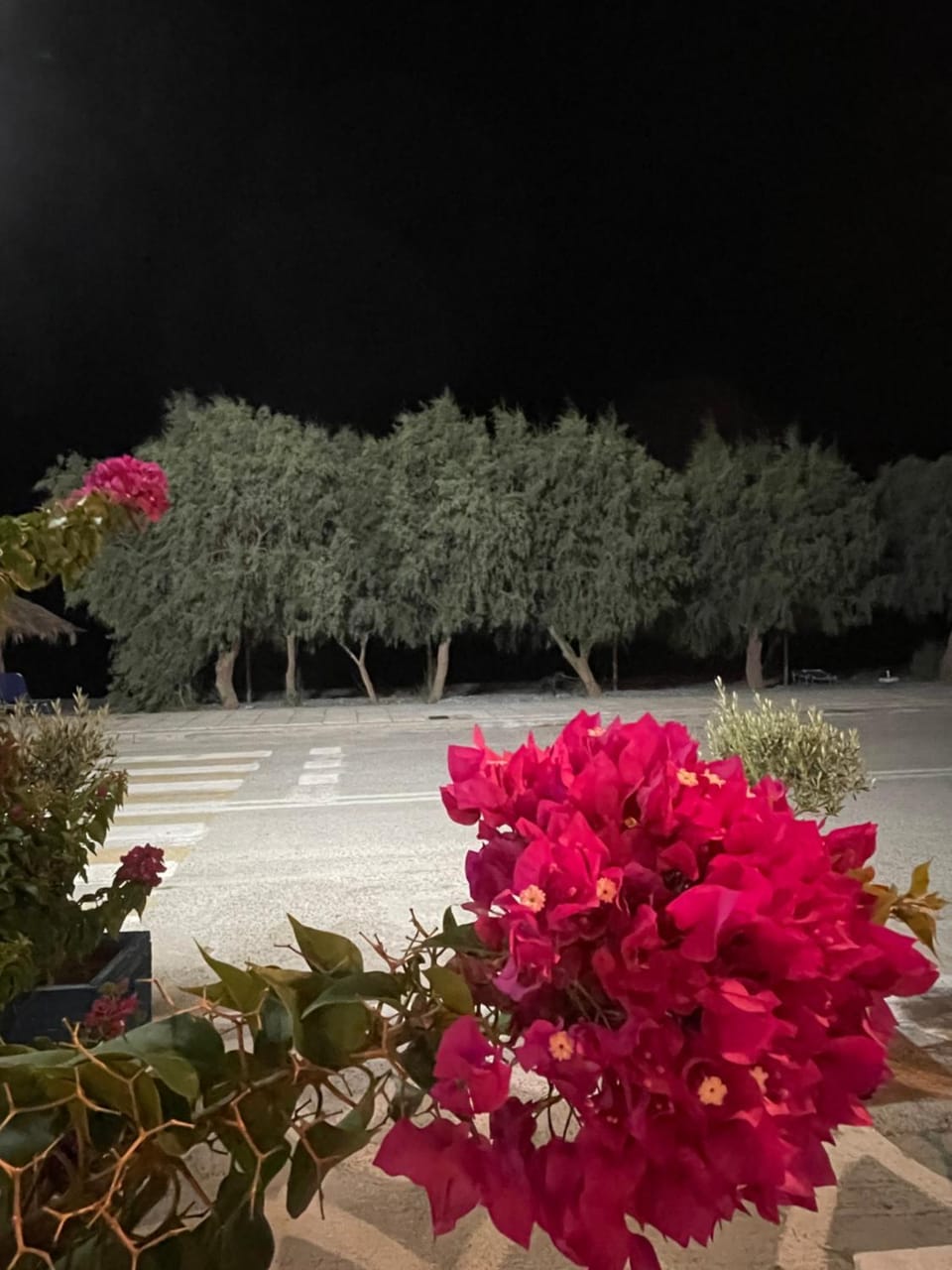 Hotel Sea Apartment in Peloponnese, Western Greece and the Ionian