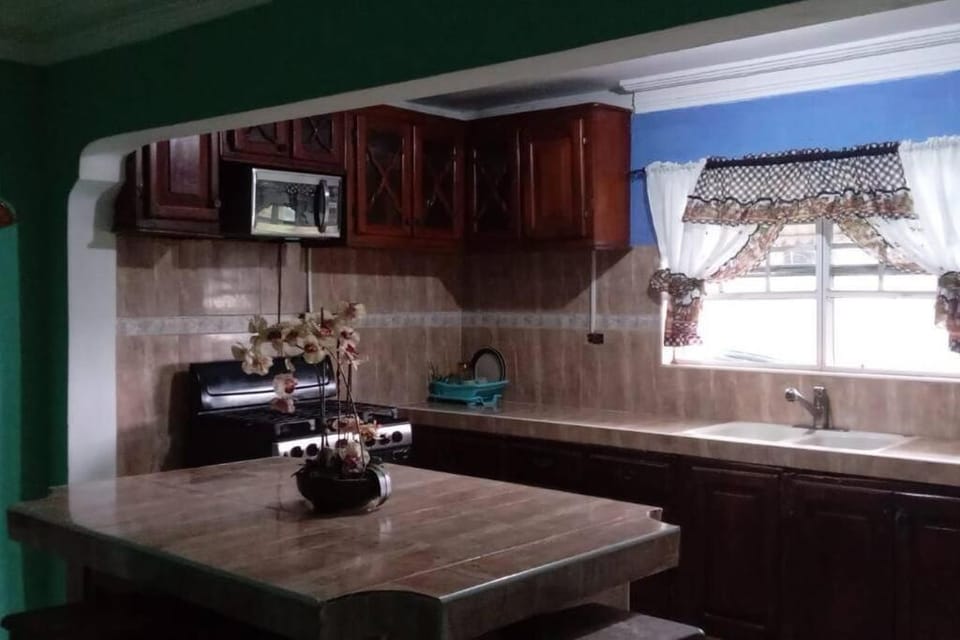 Kitchen or kitchenette, minibar, stove