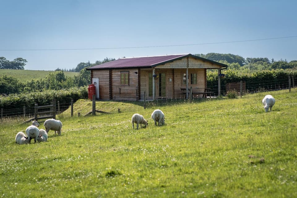Pastures Green Cabin (Oak Tree Lane) Cabin in West Devon District