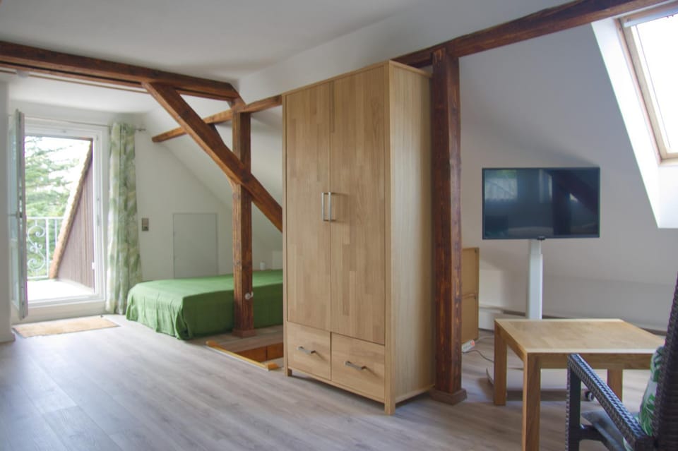 Bed, TV and multimedia, Photo of the whole room, wardrobe