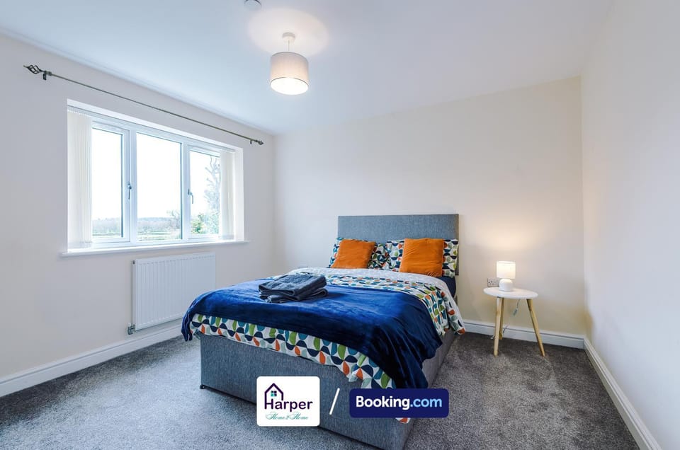 Bed, Photo of the whole room, Bedroom