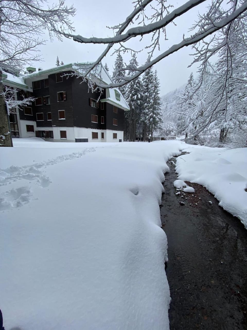 Property building, Natural landscape, Winter