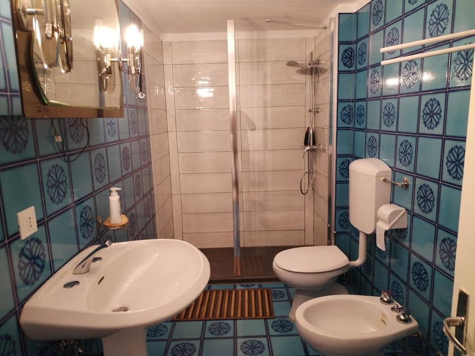 Shower, Toilet, Bathroom, bidet