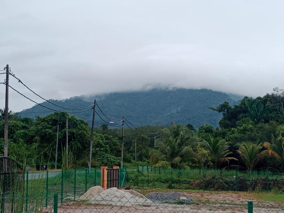 Mountain view