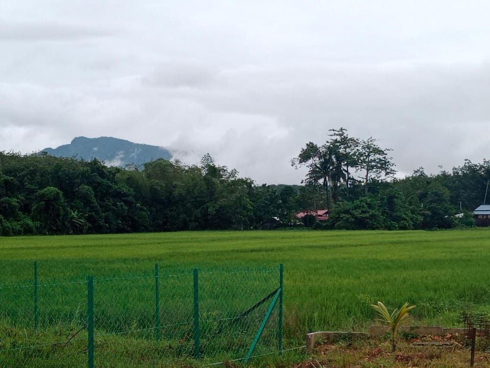 Natural landscape