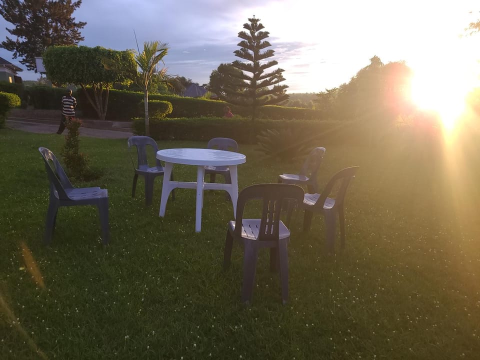 Natural landscape, Garden, Garden view, Sunrise, Sunset